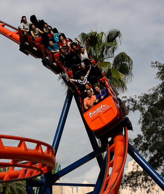 Negative G Busch Gardens Tampa 2013 Page Seventeen