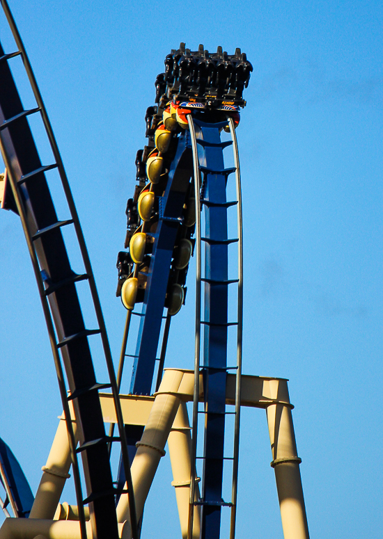 The Montu  roller coaster at Busch Gardens, Tampa, Florida
