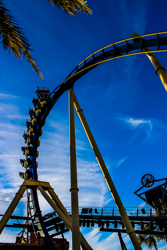 The Montu rollercoaster at Busch Gardens Tampa, Tampa, Florida
