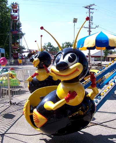 Bumble Bee Bopper at Beech Bend Park In Bowling Green, Kentucky