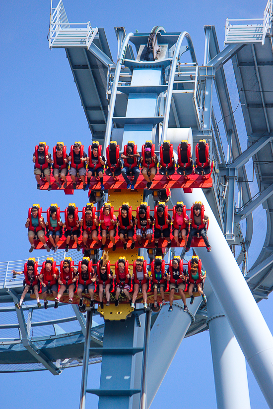 The Griffon roller coaster - The American Coaster Enthusiasts Coaster Con 41 at Busch Gardens Williamsburg, Williamsburg, Virginia