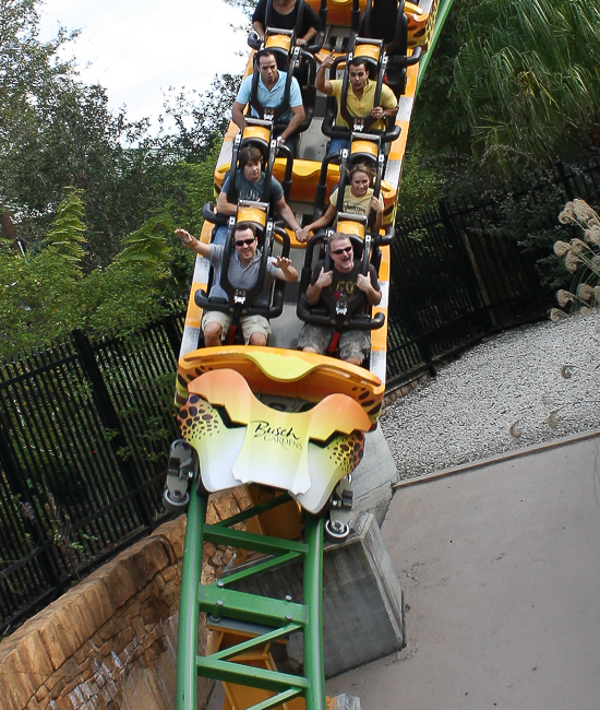 The Cheetah Hunt Roller Coaster at Busch Gardens Tampa, Tampa, Florida