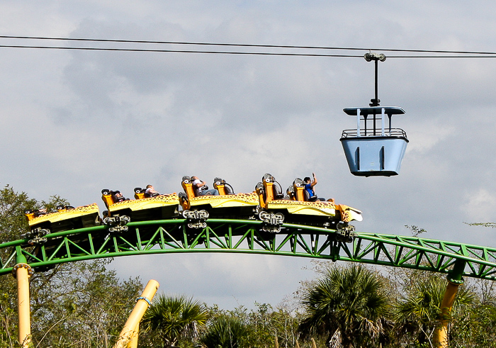 The Cheetah Hunt roller coaster at Busch Gardens Tampa, Tampa, Florida