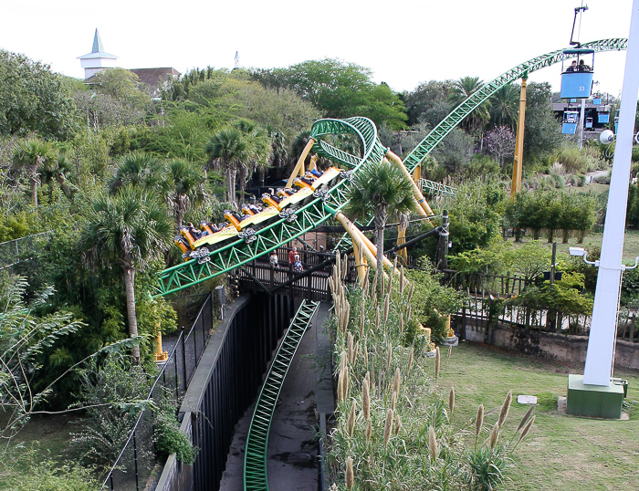 The Cheetah Hunt Roller Coaster at Busch Gardens Tampa, Tampa, Florida