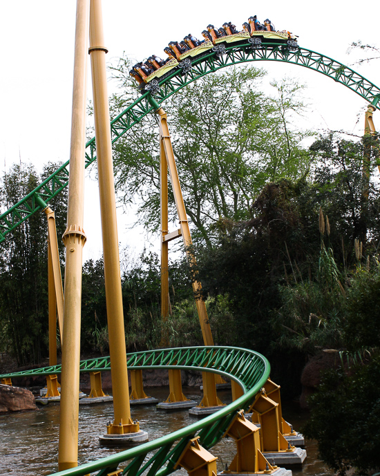 The Cheetah Hunt roller coaster at Busch Gardens Tampa, Tampa, Florida