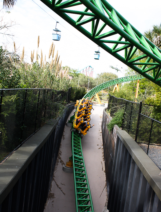 The Cheetah Hunt roller coaster at Busch Gardens Tampa, Tampa, Florida