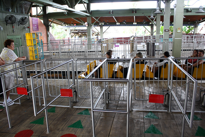 The Gwazi Roller Coaster at Busch Gardens Tampa, Tampa, Florida