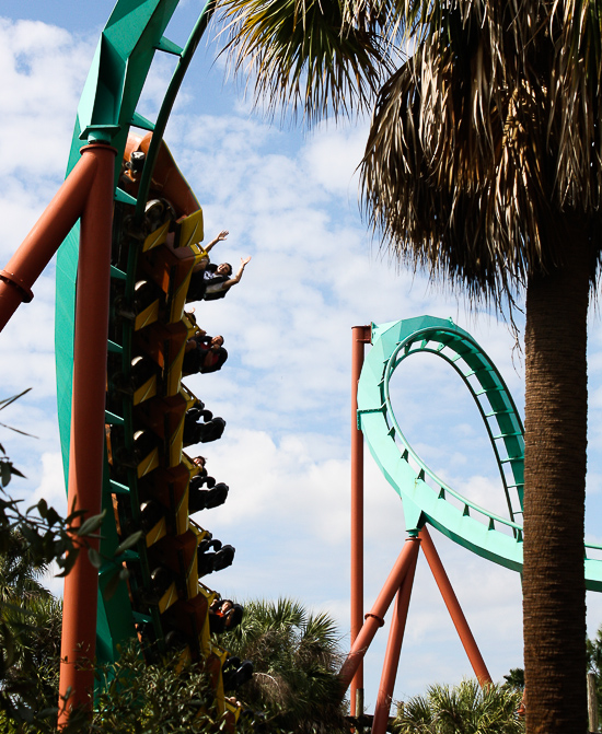 The Kumba Rollercoaster at Busch Gardens Tampa, Tampa, Florida