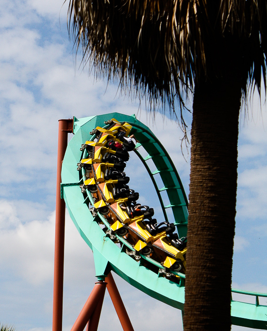 The Kumba Rollercoaster at Busch Gardens Tampa, Tampa, Florida