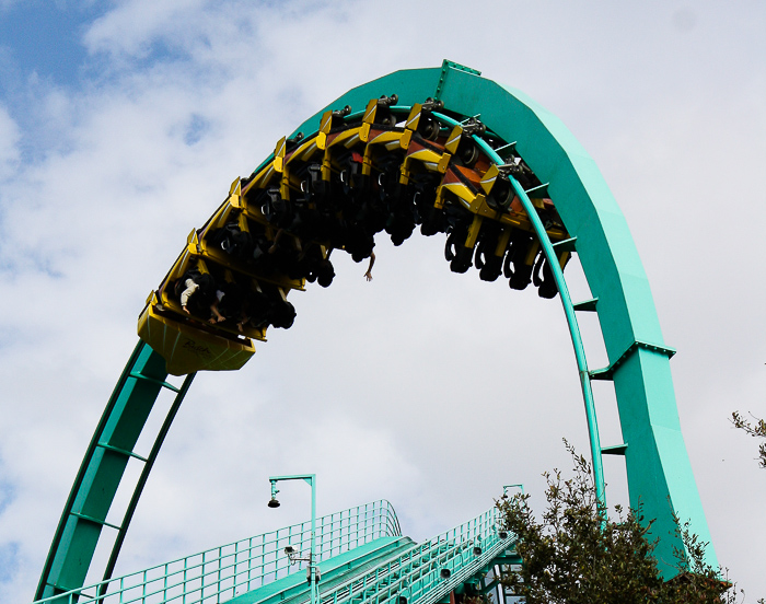 The Kumba Rollercoaster at Busch Gardens Tampa, Tampa, Florida