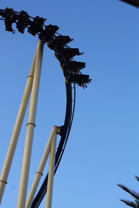 The Montu roller coaster at Busch Gardens Tampa, Tampa, Florida