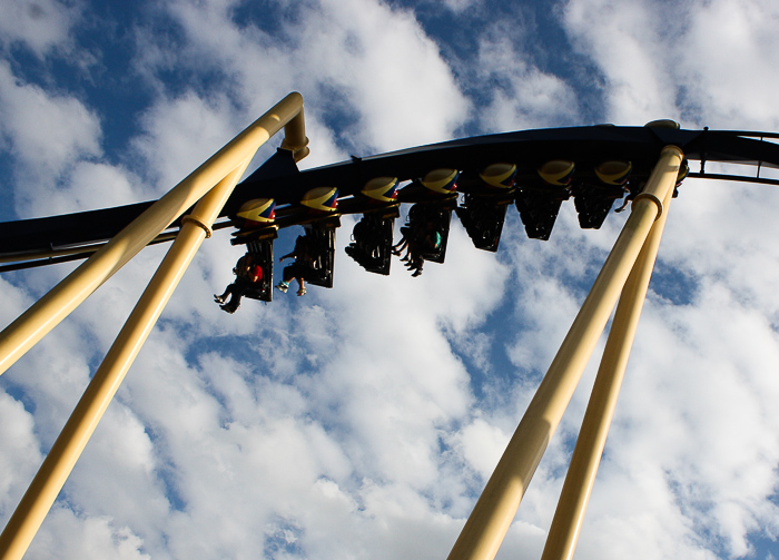 The Montu roller coaster at Busch Gardens Tampa, Tampa, Florida