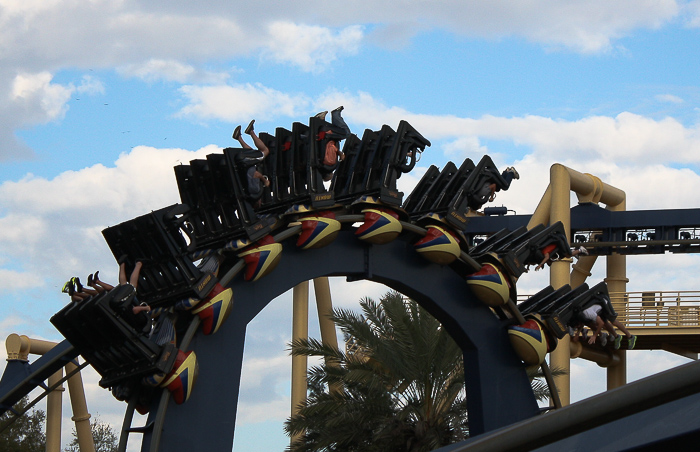 The Montu roller coaster at Busch Gardens Tampa, Tampa, Florida