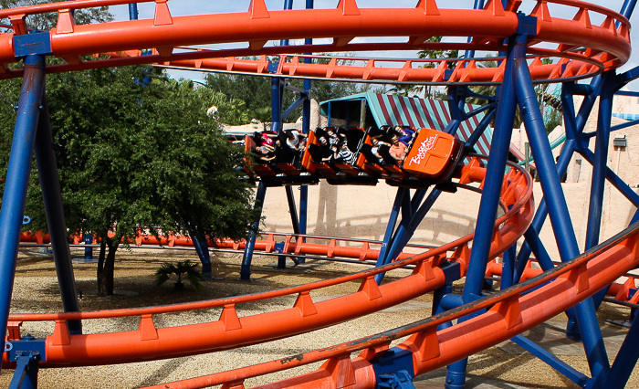 The Scorpion Rollercoaster at Busch Gardens Tampa, Tampa, Florida