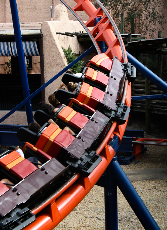 The Scorpion Rollercoaster at Busch Gardens Tampa, Tampa, Florida