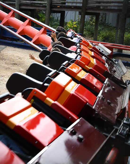 The Scorpion Rollercoaster at Busch Gardens Tampa, Tampa, Florida