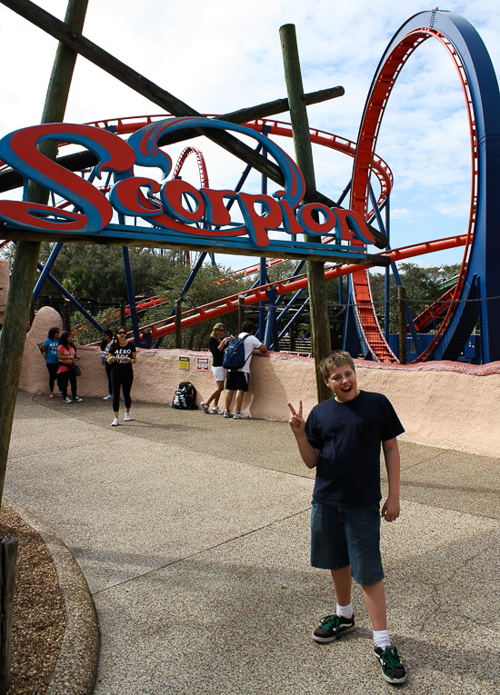 The Scorpion Rollercoaster at Busch Gardens Tampa, Tampa, Florida