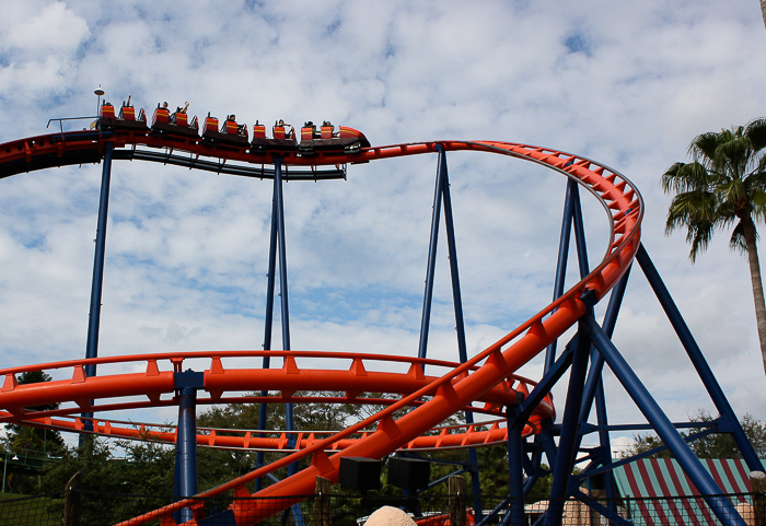 The Scorpion Rollercoaster at Busch Gardens Tampa, Tampa, Florida