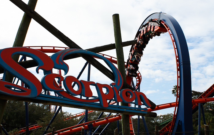 The Scorpion Rollercoaster at Busch Gardens Tampa, Tampa, Florida