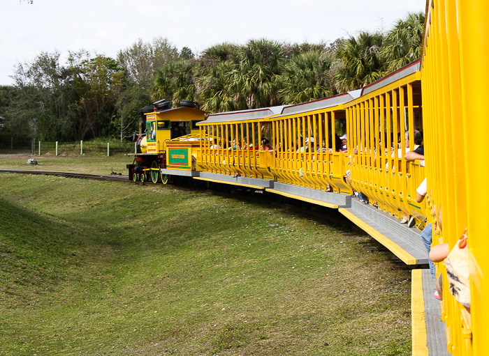 The Serengeti Express at Busch Gardens Tampa, Tampa, Florida