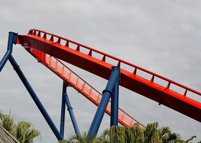 The Sheikra Roller Coaster at Busch Gardens Tampa, Tampa, Florida