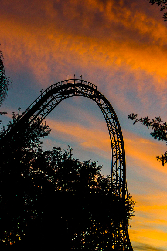 Busch Gardens Tampa, Tampa, Florida