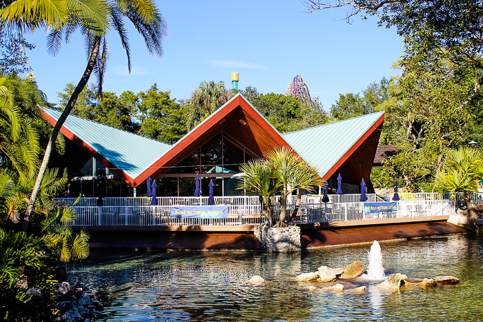 Busch Gardens Tampa, Tampa, Florida