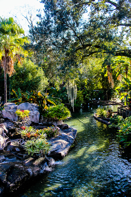 Busch Gardens, Tampa, Florida