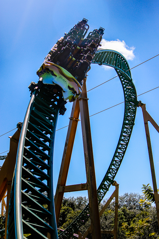 The Cheetah Hunt roller coaster at Busch Gardens Tampa, Tampa, Florida