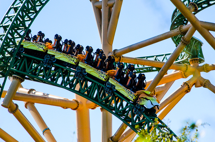 The Cheetah Hunt roller coaster at Busch Gardens Tampa, Tampa, Florida