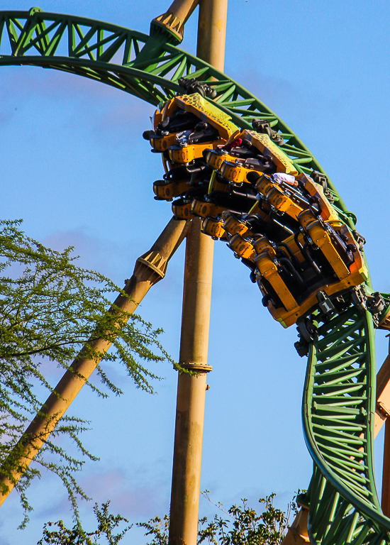 The Cheetah Hunt roller coaster at Busch Gardens Tampa, Tampa, Florida