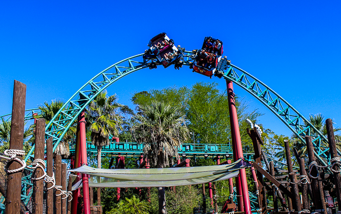 The Cobra's Curse roller coaster at Busch Gardens Tampa, Tampa, Florida