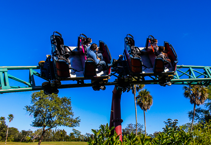 The Cobra's Curse roller coaster at Busch Gardens Tampa, Tampa, Florida