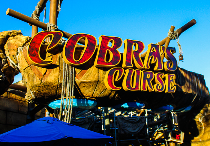 The Cobra's Curse rollercoaster at Busch Gardens Tampa, Tampa, Florida