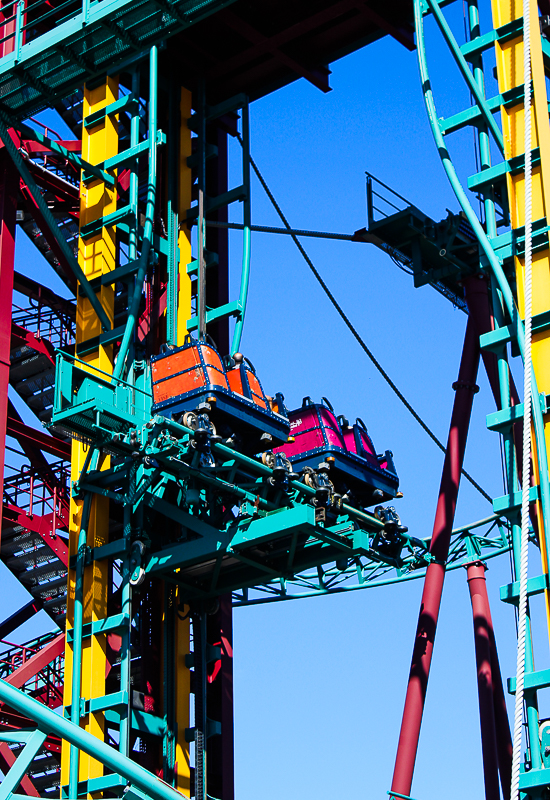 The Cobra's Curse roller coaster at Busch Gardens Tampa, Tampa, Florida