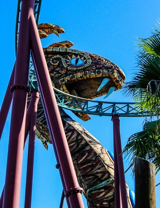 The Cobra's Curse rollercoaster at Busch Gardens Tampa, Tampa, Florida