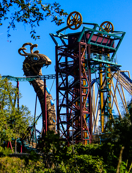 The Cobra's Curse roller coaster at Busch Gardens, Tampa, Florida