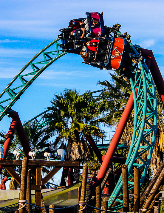 The Cobra's Curse roller coaster at Busch Gardens Tampa, Tampa, Florida