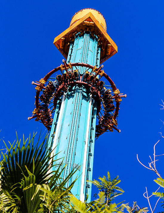 The Falcon's Fury drop ride at Busch Gardens Tampa, Tampa, Florida