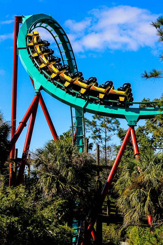 The Bolliger & Mabillard designed Kumba Roller Coaster at Busch Gardens Tampa, Tampa, Florida