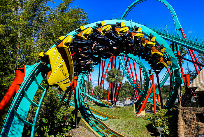 The Bolliger & Mabillard designed Kumba Roller Coaster at Busch Gardens Tampa, Tampa, Florida