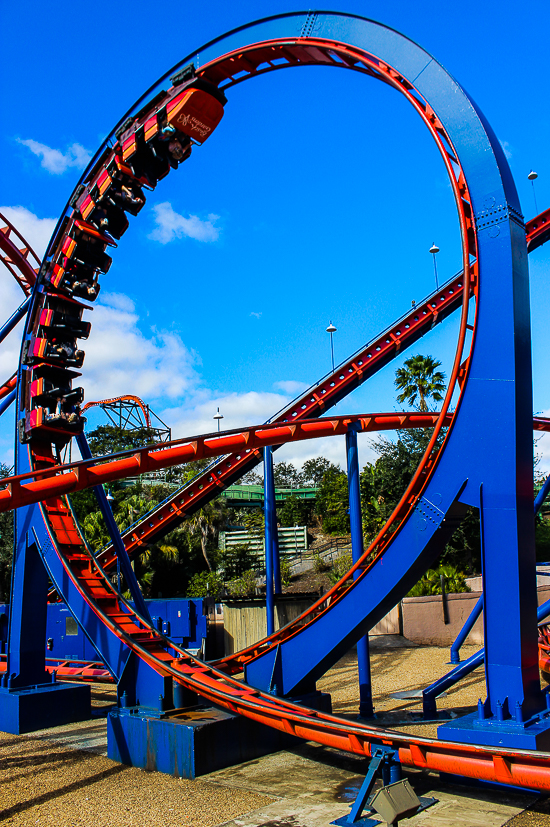 The Anton Schwarzkopf designed Scorpion Roller Coaster at at Busch Gardens Tampa, Tampa, Florida