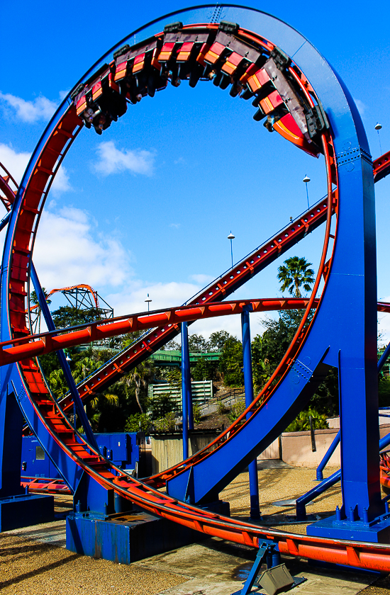 The Anton Schwarzkopf designed Scorpion Roller Coaster at Busch Gardens Tampa, Tampa, Florida