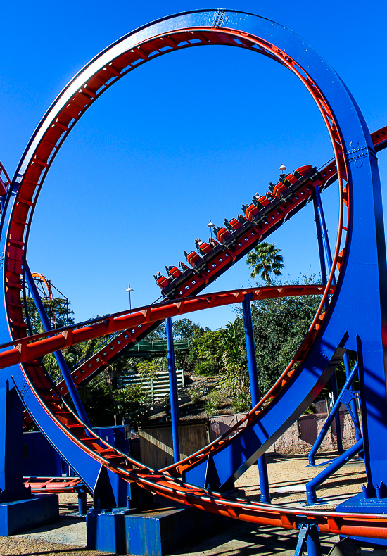 The Anton Schwarzkopf designed Scorpion Roller Coaster at Busch Gardens Tampa, Tampa, Florida