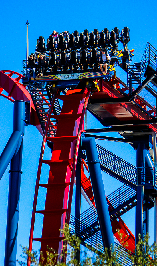 The Bolliger & Mabillard designed SheKra dive roller coaster at Busch Gardens, Tampa, Florida