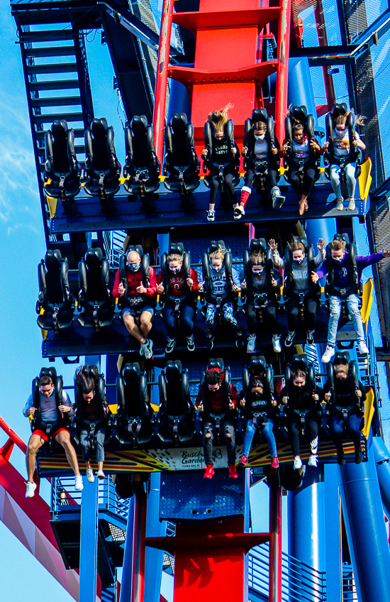 The Bolliger & Mabillard designed SheKra dive roller coaster at Busch Gardens Tampa, Tampa, Florida