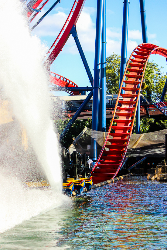 The Bolliger & Mabillard designed SheKra dive roller coaster at Busch Gardens Tampa, Tampa, Florida