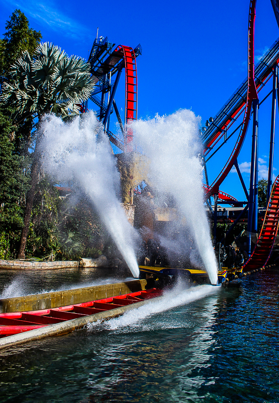 The Bolliger & Mabillard designed SheKra dive roller coaster at Busch Gardens Tampa, Tampa, Florida