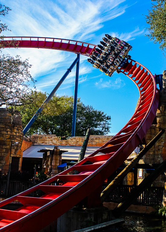 The Bolliger & Mabillard designed SheKra dive roller coaster at Busch Gardens Tampa, Tampa, Florida