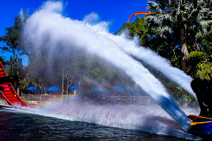 The Bolliger & Mabillard designed SheKra dive roller coaster at Busch Gardens Tampa, Tampa, Florida